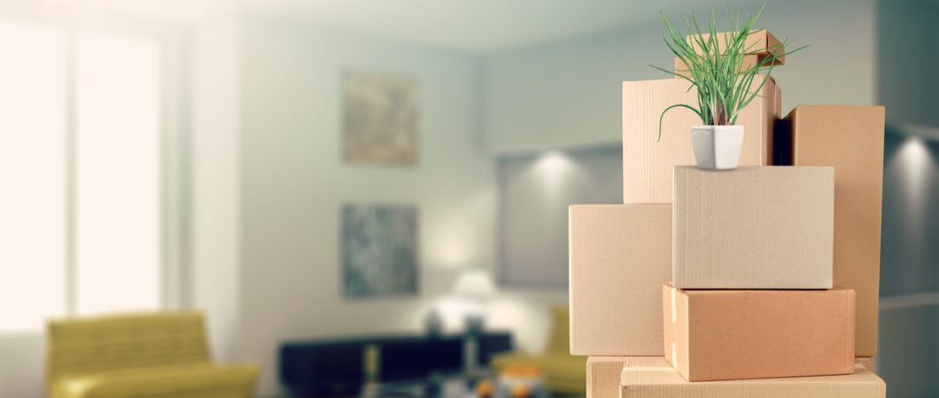 moving boxes with a plant at the top