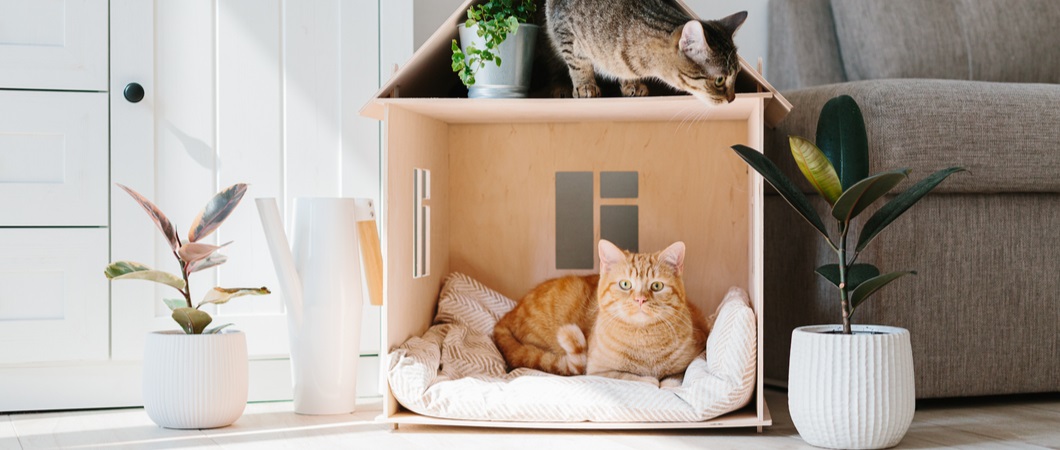 wooden cat house in a living room